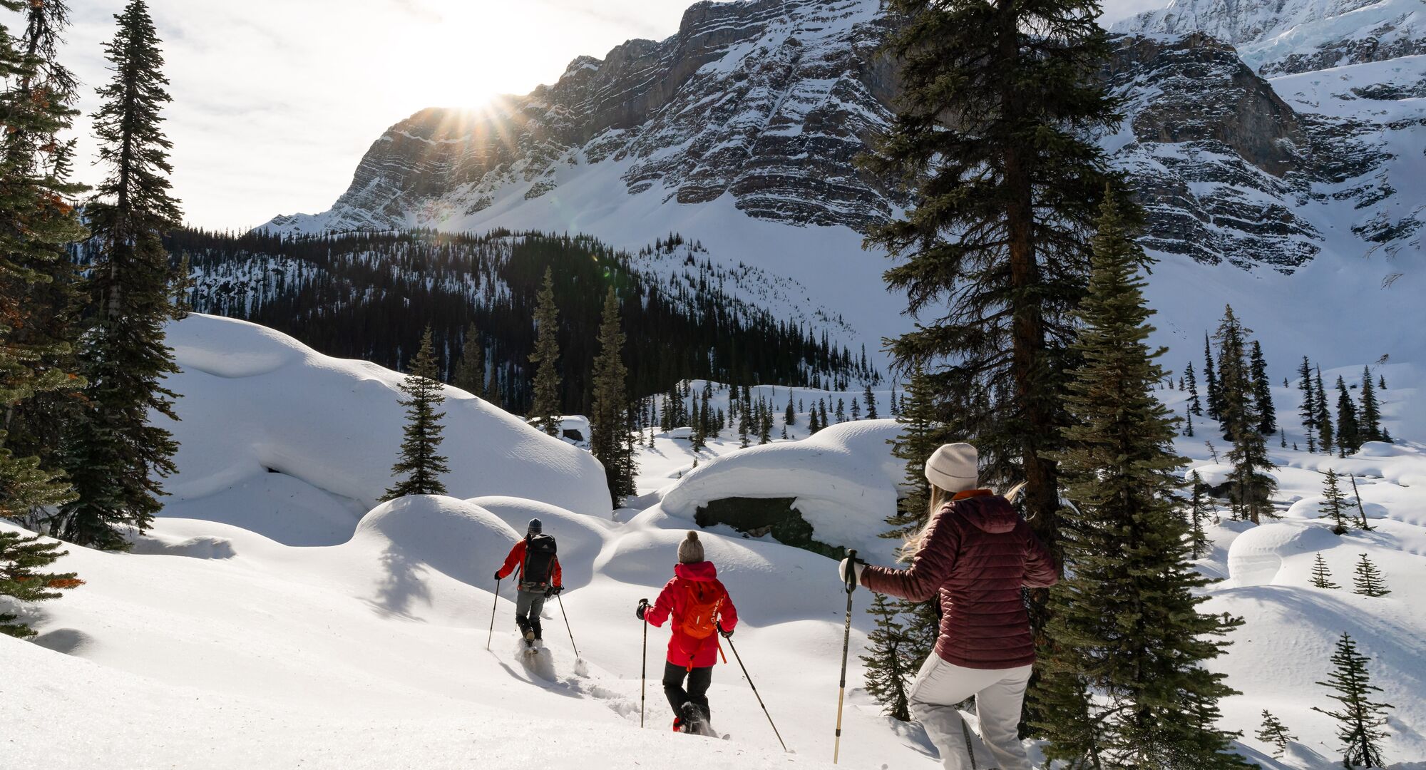 Guided Snowshoeing Tour