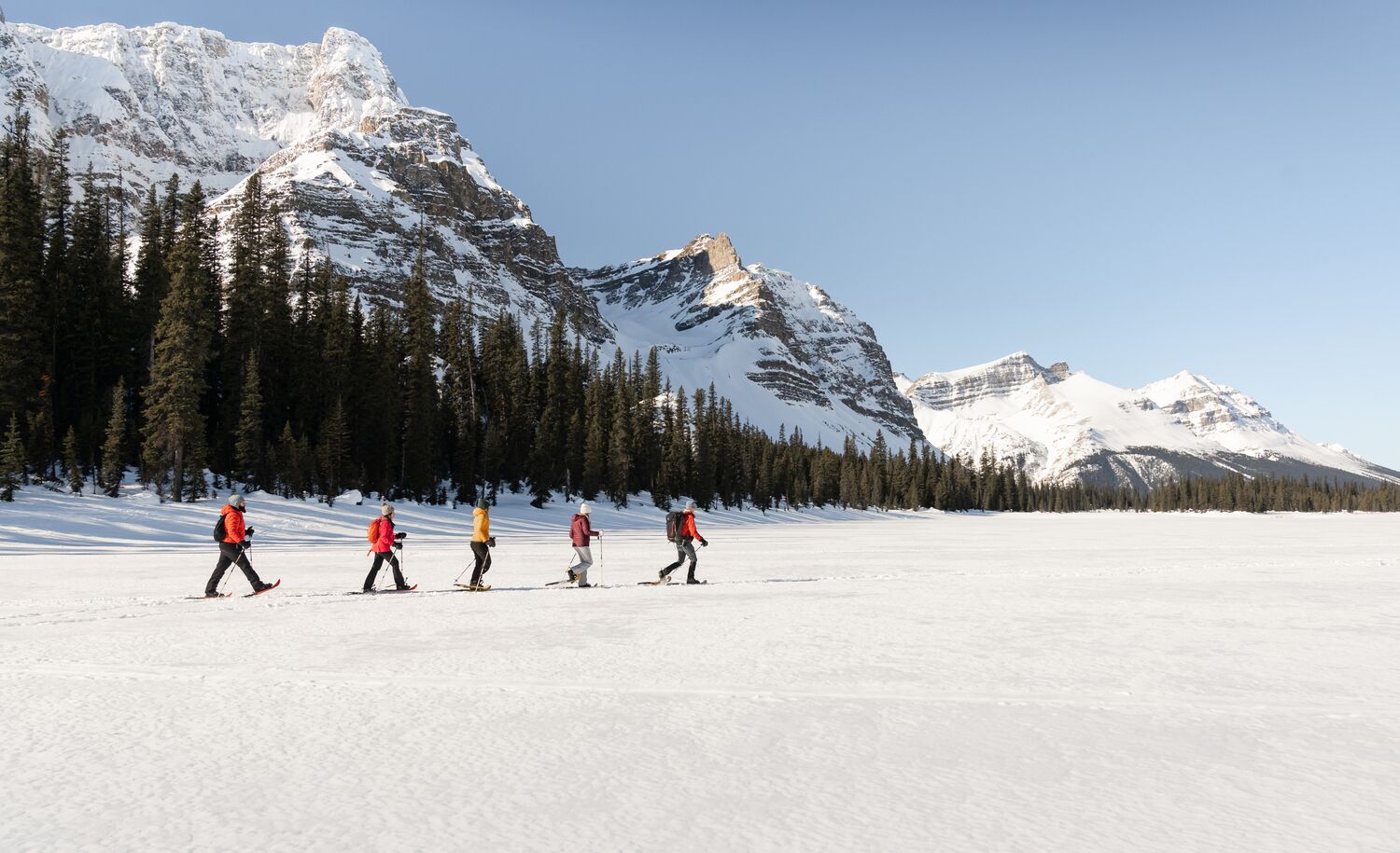 Winter Escape in the Canadian Rockies